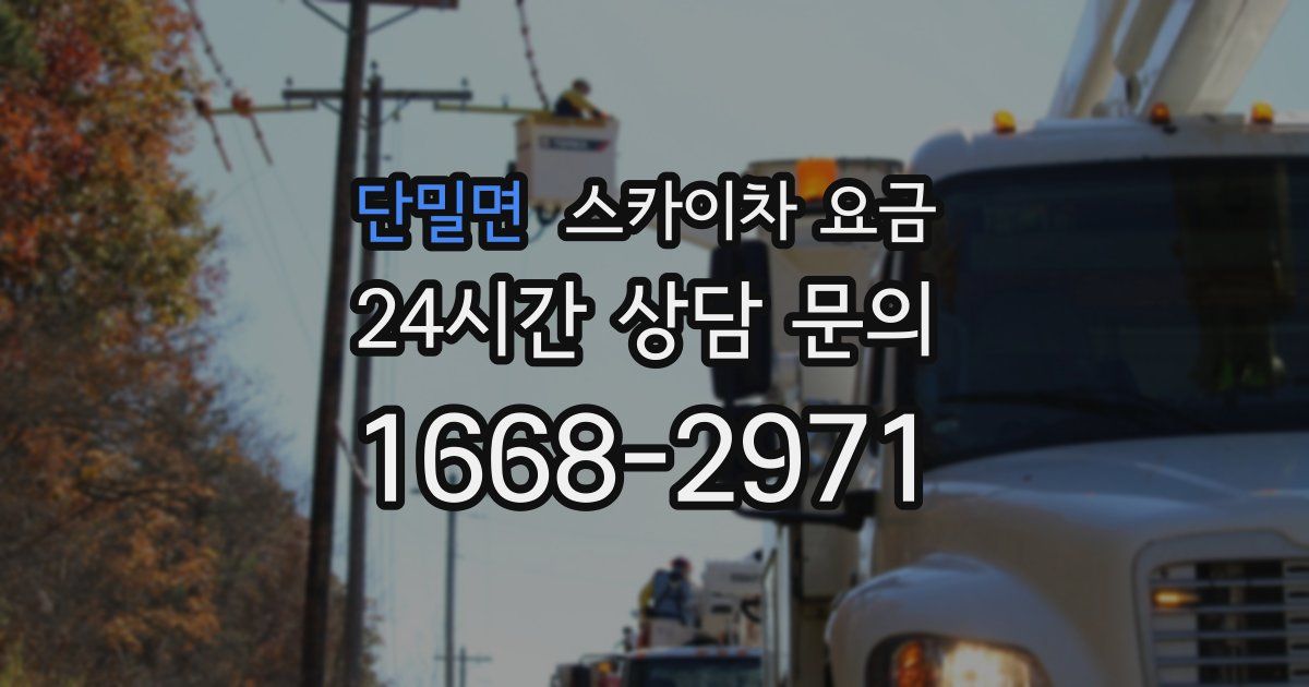 단밀면 스카이차 요금