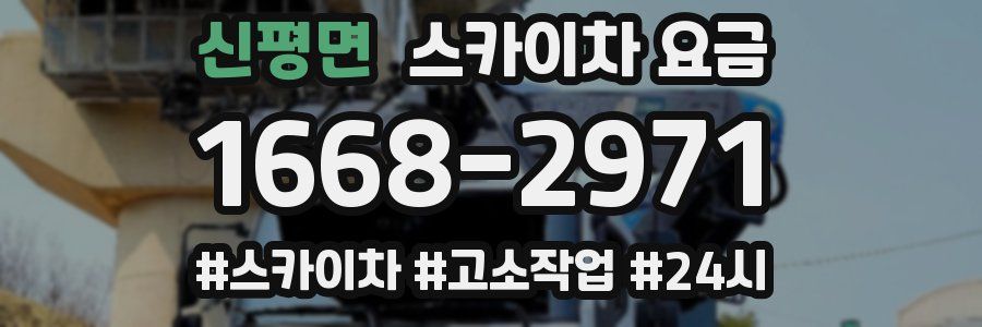 신평면 스카이차 요금