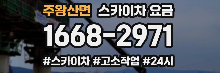 주왕산면 스카이차 요금