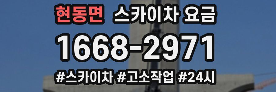 현동면 스카이차 요금