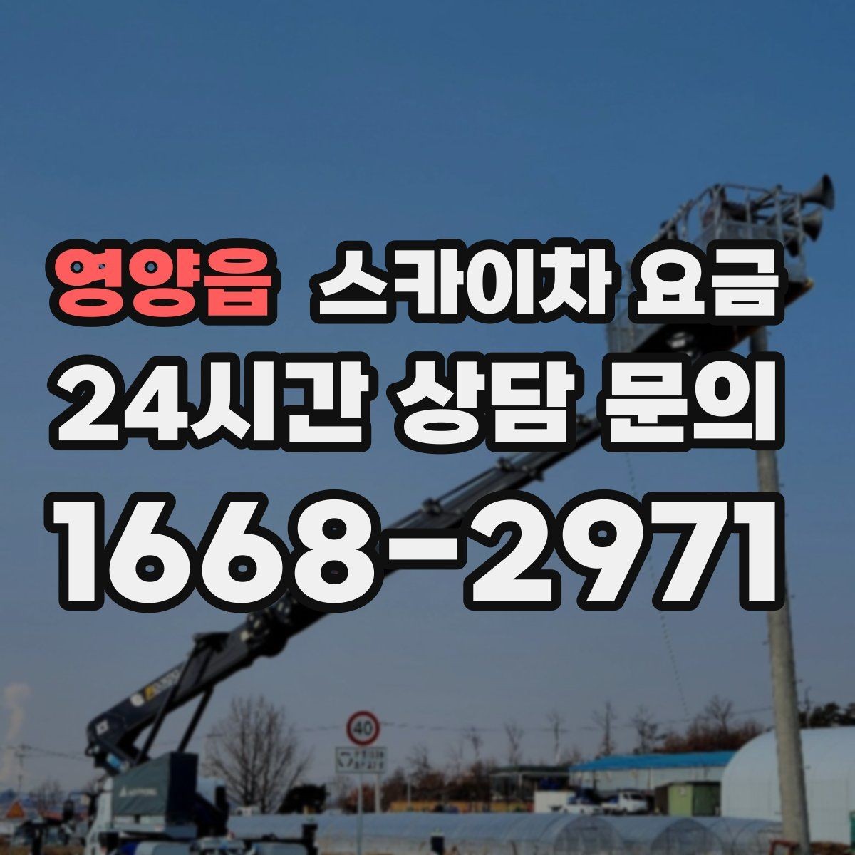영양읍 스카이차 요금 '포함' 항목을 먼저 확인해야 하는 이유