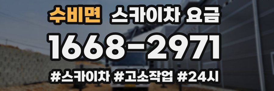 수비면 스카이차 요금