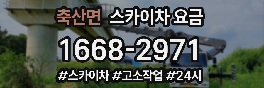 축산면 스카이차 요금