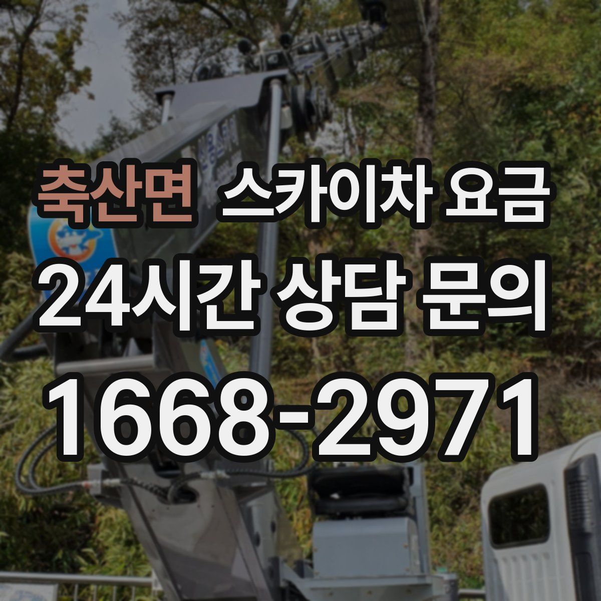 축산면 스카이차 요금