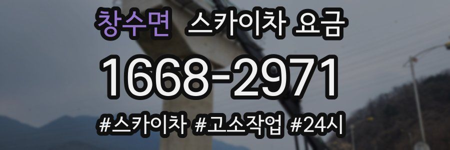 창수면 스카이차 요금