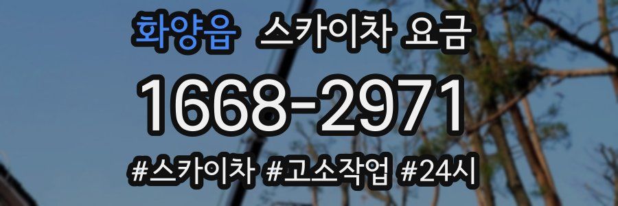 화양읍 스카이차 요금