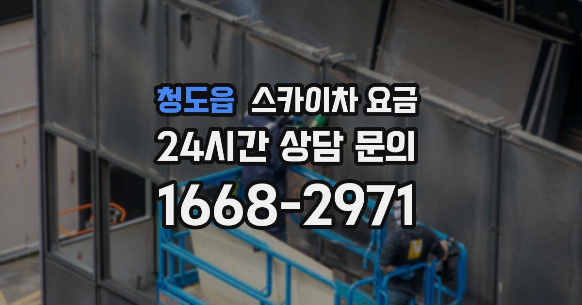 청도읍 스카이차 요금