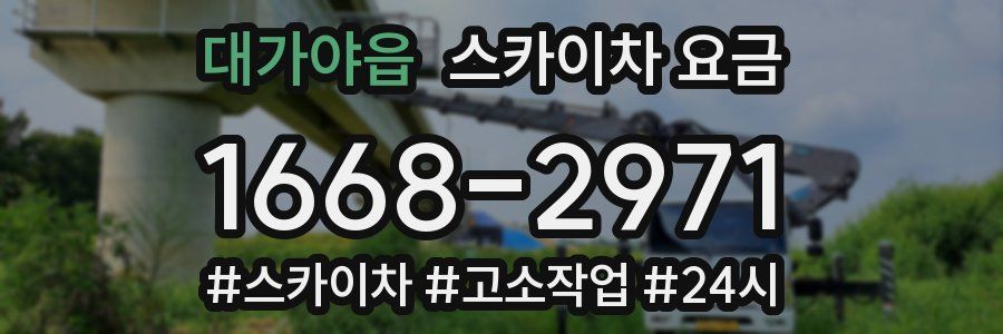 대가야읍 스카이차 요금