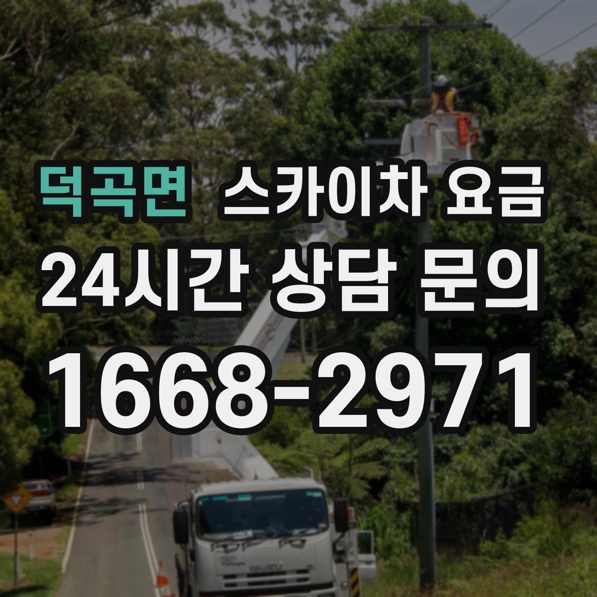 덕곡면 스카이차 요금