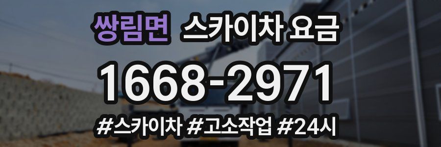 쌍림면 스카이차 요금