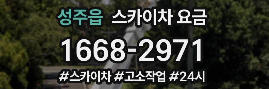 성주읍 스카이차 요금