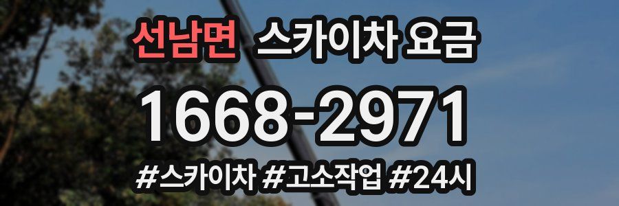 선남면 스카이차 요금