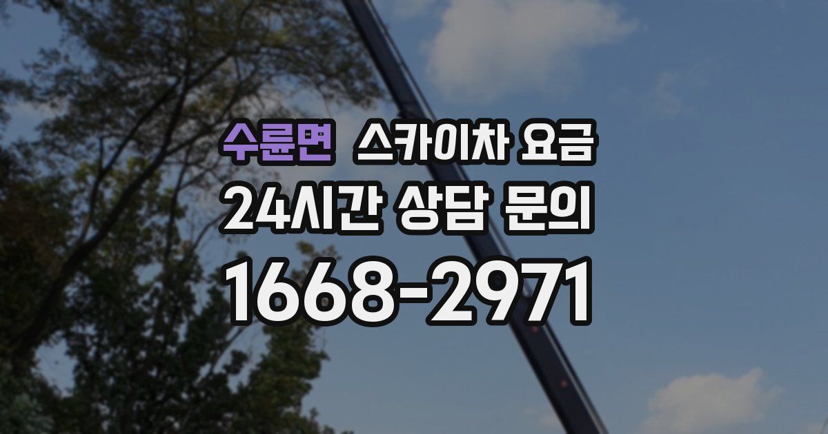 수륜면 스카이차 요금