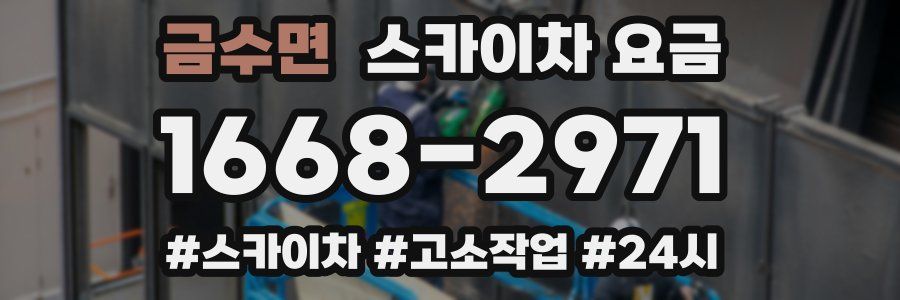 금수면 스카이차 요금