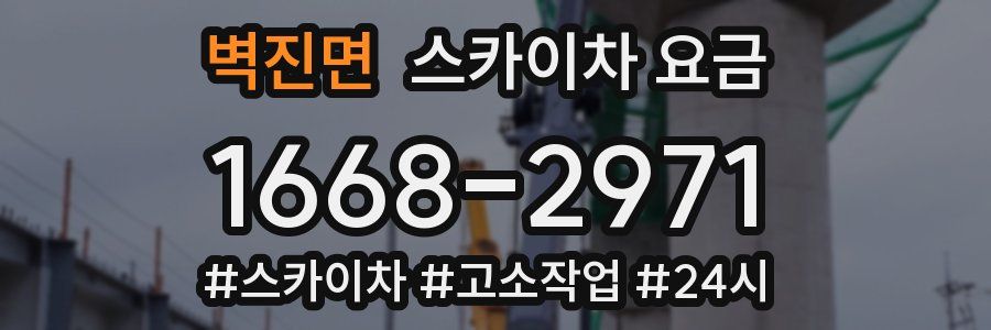 벽진면 스카이차 요금