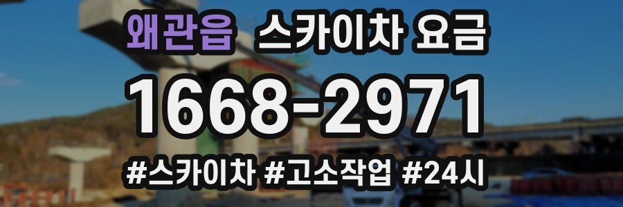 왜관읍 스카이차 요금