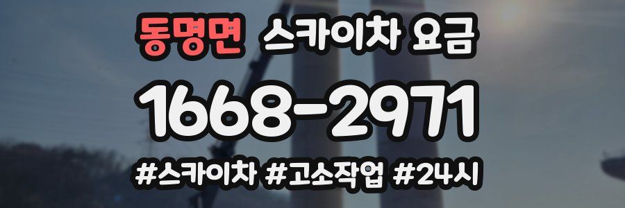 동명면 스카이차 요금