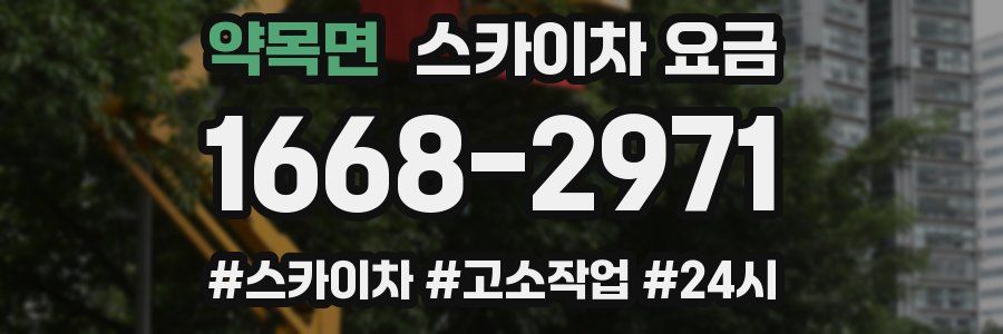 약목면 스카이차 요금