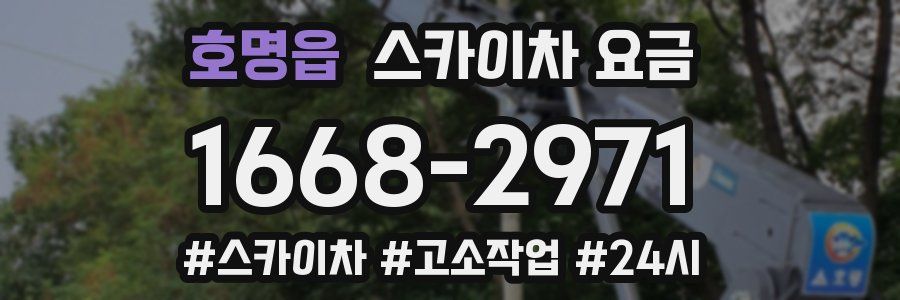 호명읍 스카이차 요금