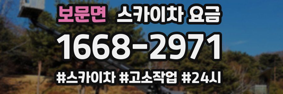 보문면 스카이차 요금