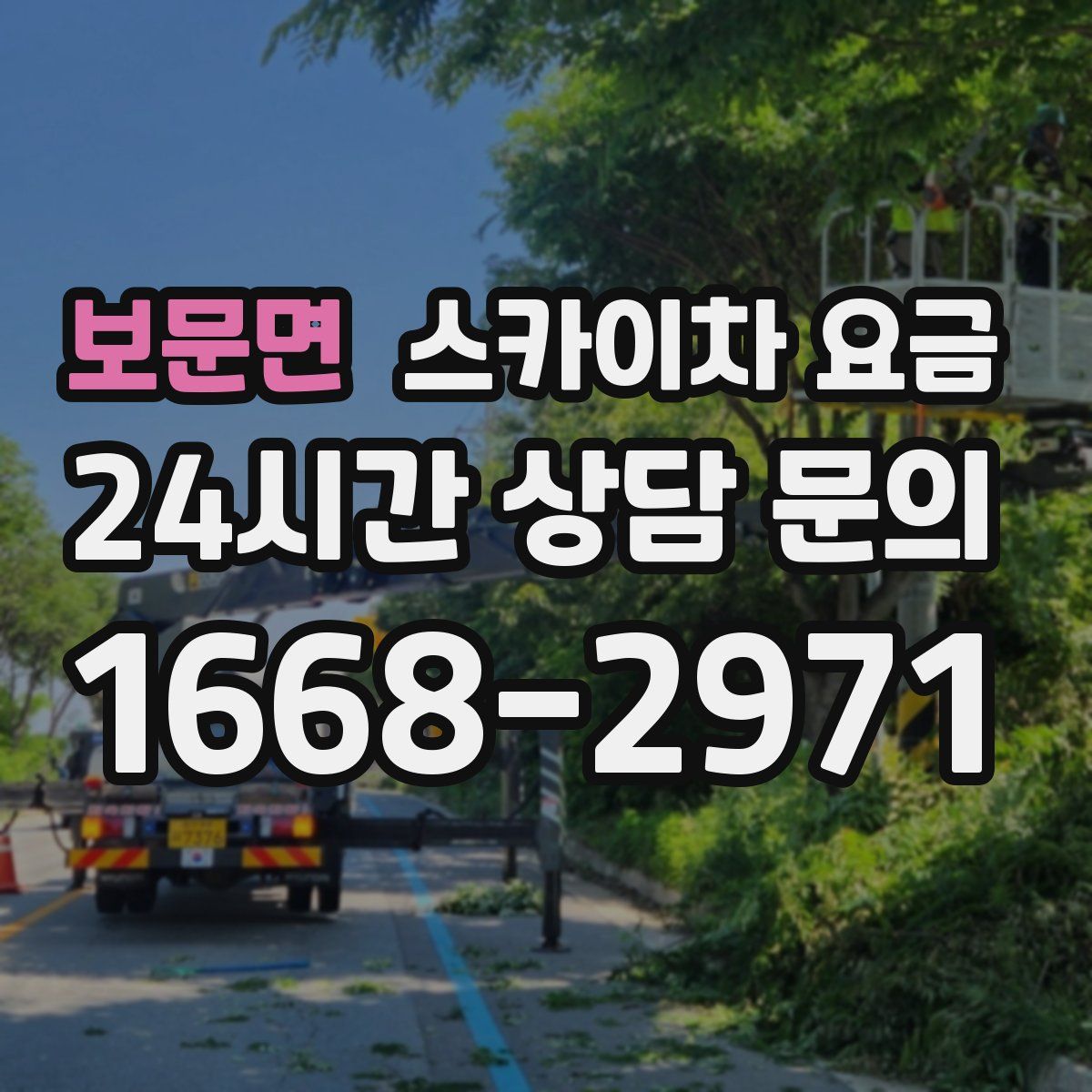 보문면 스카이차 요금