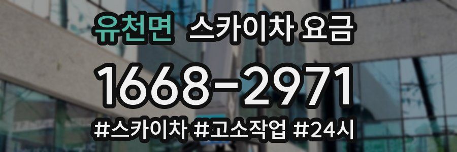 유천면 스카이차 요금