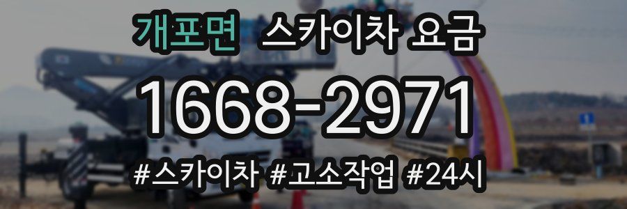 개포면 스카이차 요금