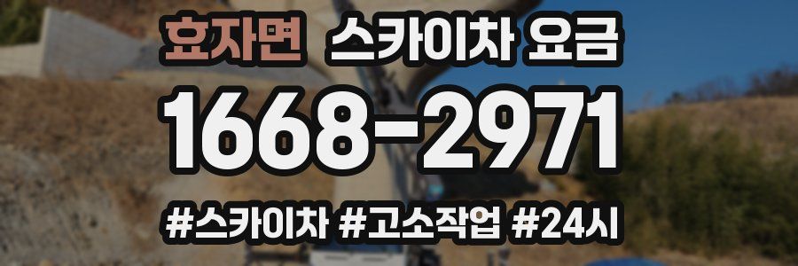 효자면 스카이차 요금