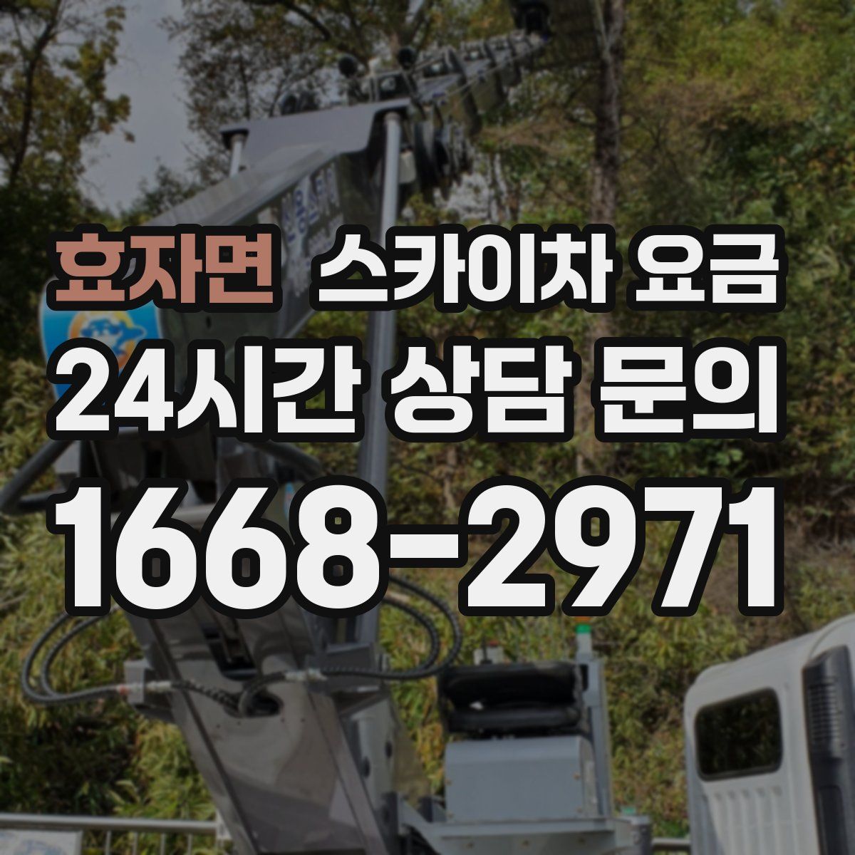 효자면 스카이차 요금