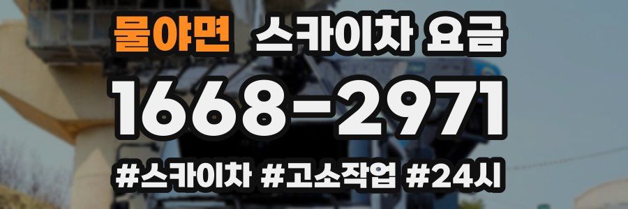 물야면 스카이차 요금