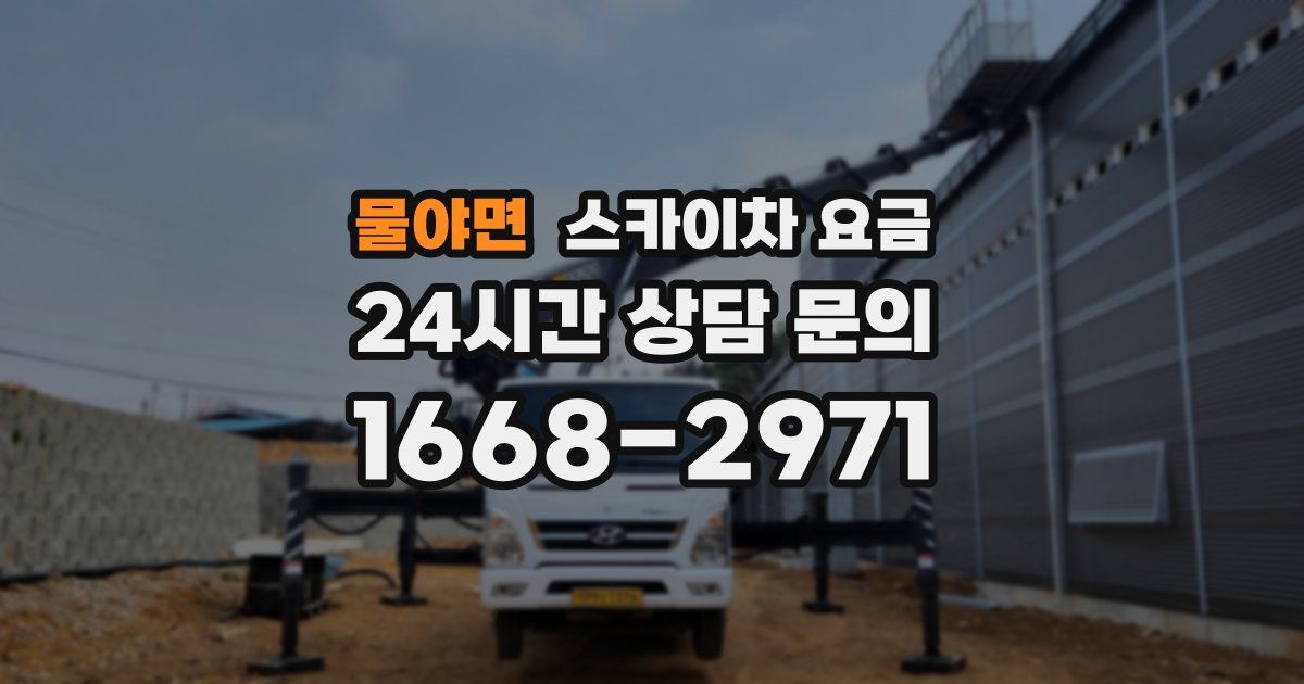 물야면 스카이차 요금