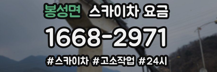 봉성면 스카이차 요금