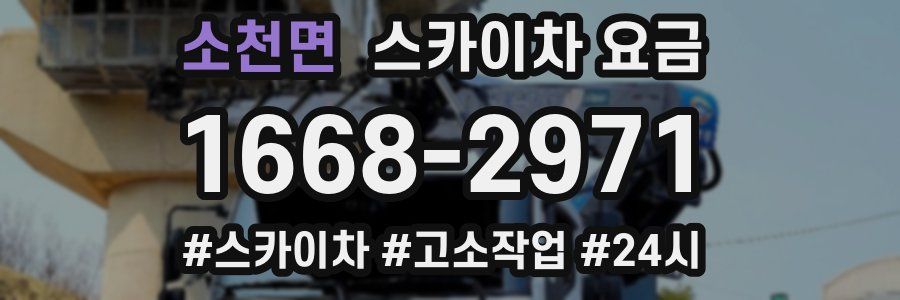 소천면 스카이차 요금