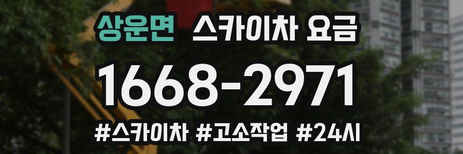 상운면 스카이차 요금