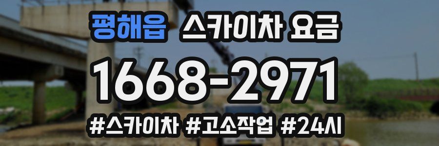 평해읍 스카이차 요금