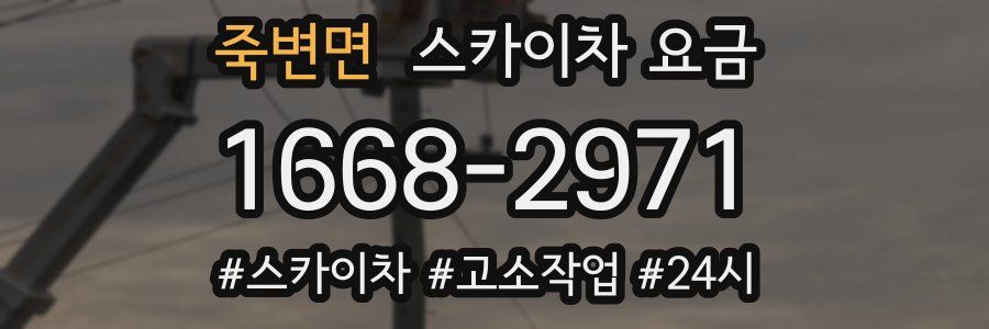 죽변면 스카이차 요금