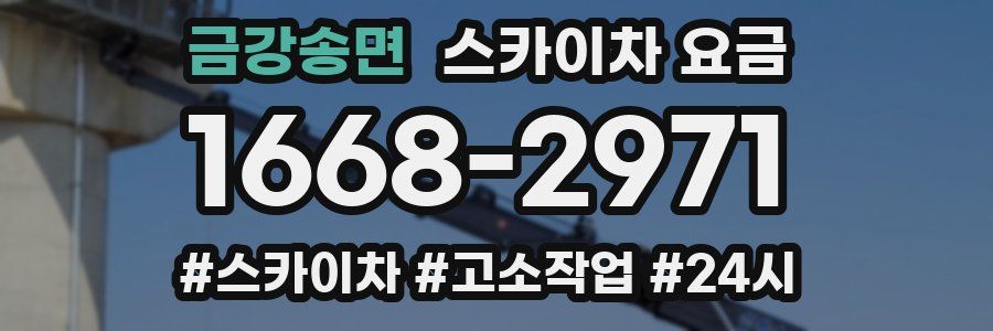 금강송면 스카이차 요금