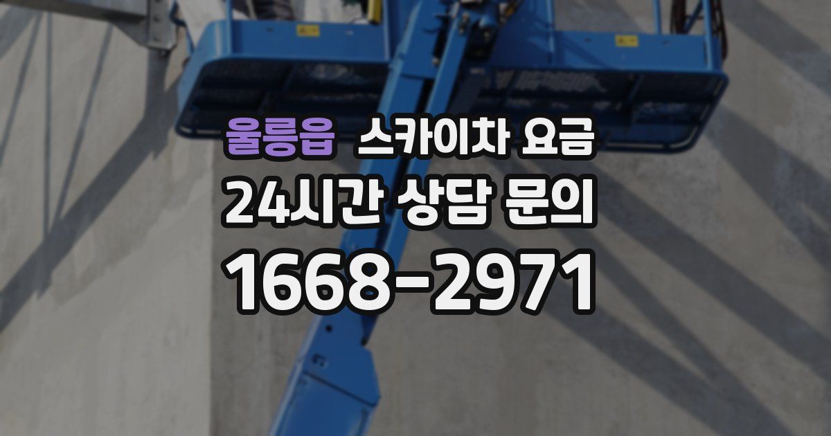 울릉읍 스카이차 요금