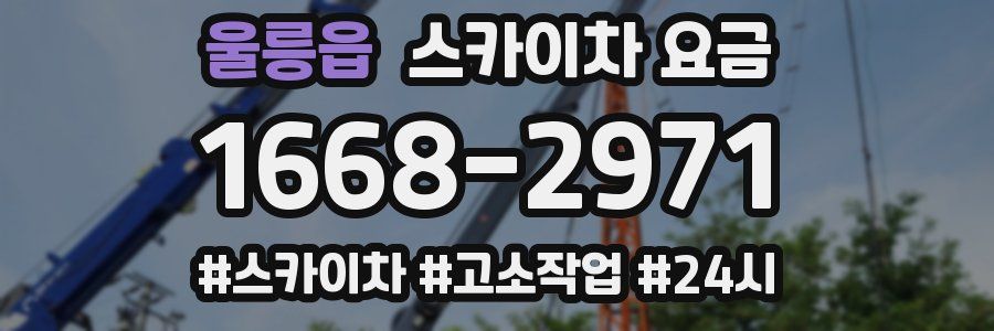 울릉읍 스카이차 요금