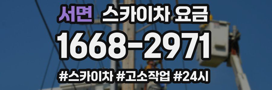 서면 스카이차 요금