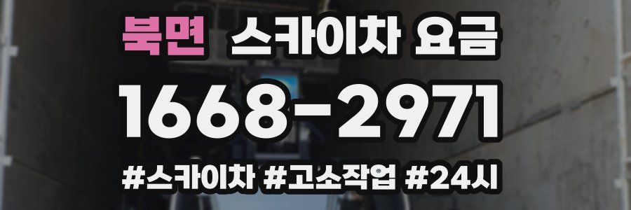 북면 스카이차 요금