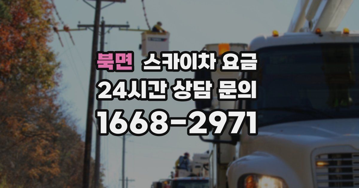 북면 스카이차 요금