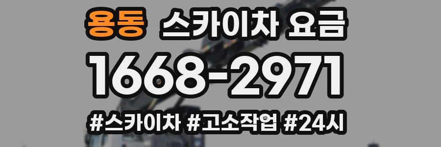 용동 스카이차 요금