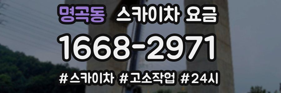 명곡동 스카이차 요금