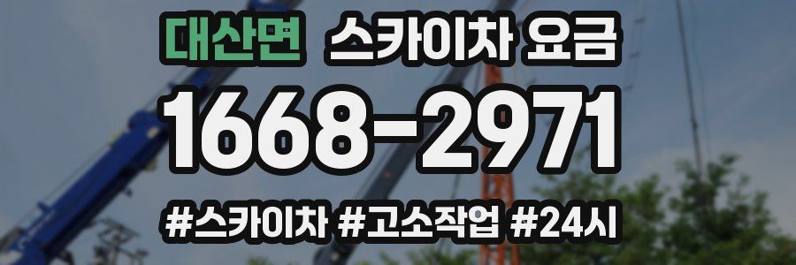 대산면 스카이차 요금