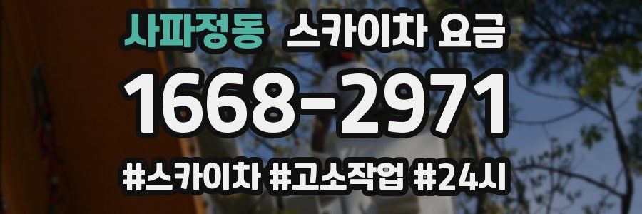 사파정동 스카이차 요금