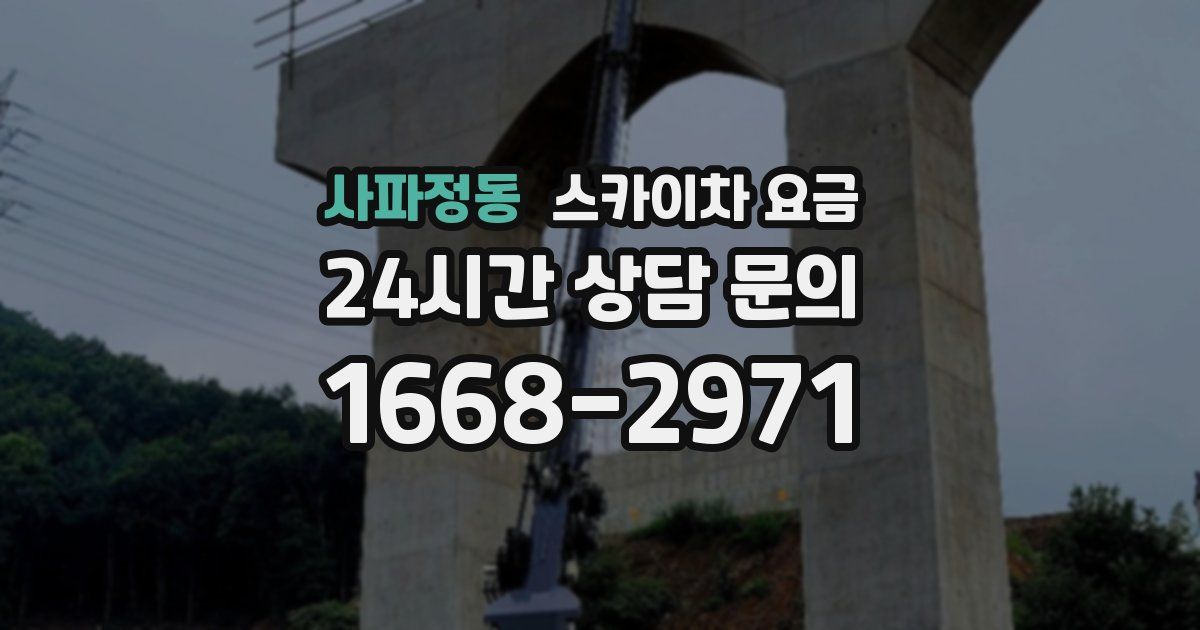 사파정동 스카이차 요금