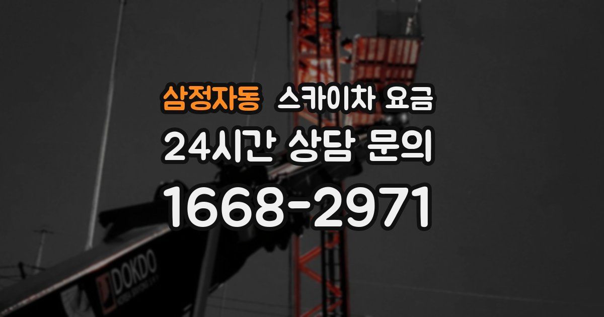 삼정자동 스카이차 요금