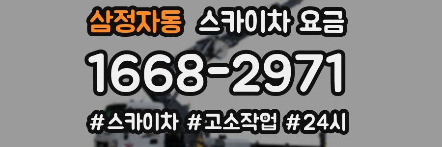 삼정자동 스카이차 요금