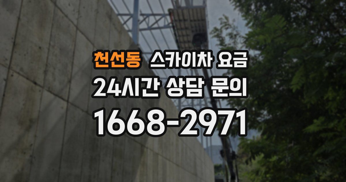 천선동 스카이차 요금